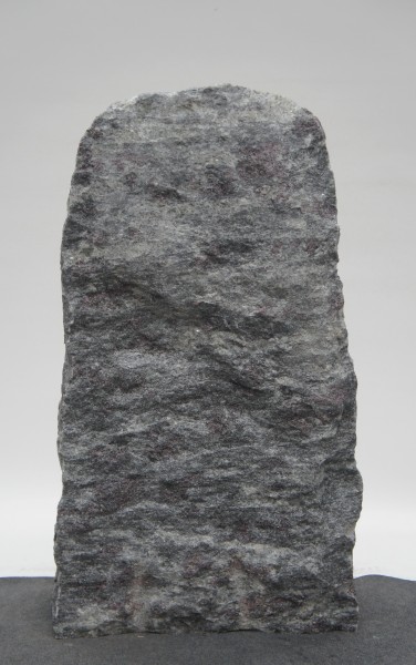 Amadeus AM23215