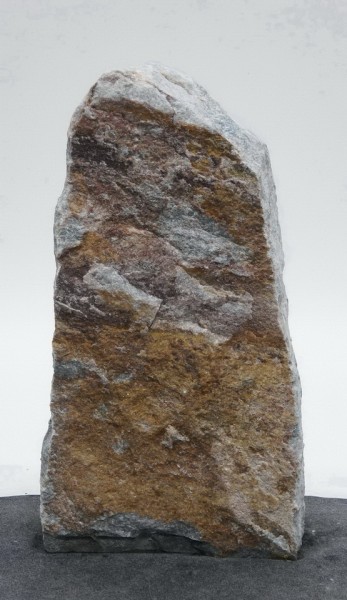 Borealis Light BLI23964