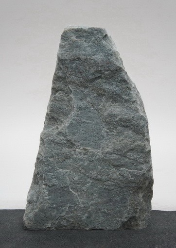Borealis Light BLI24211