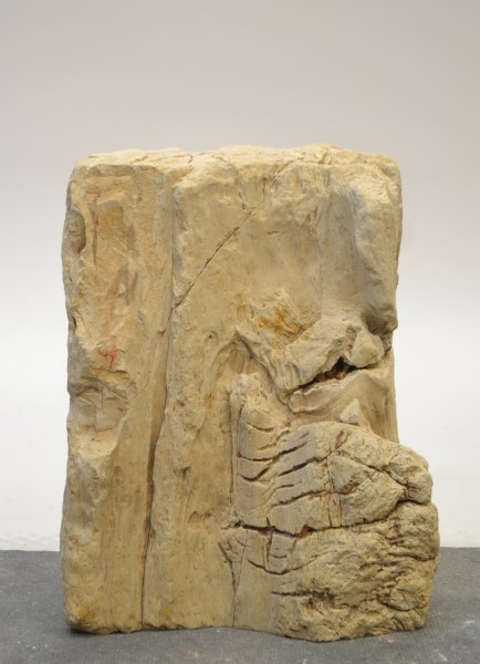 Versteinertes Holz HZ18838