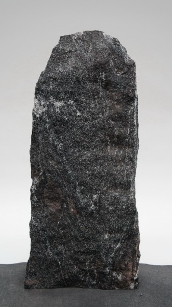 Tundra TU22541