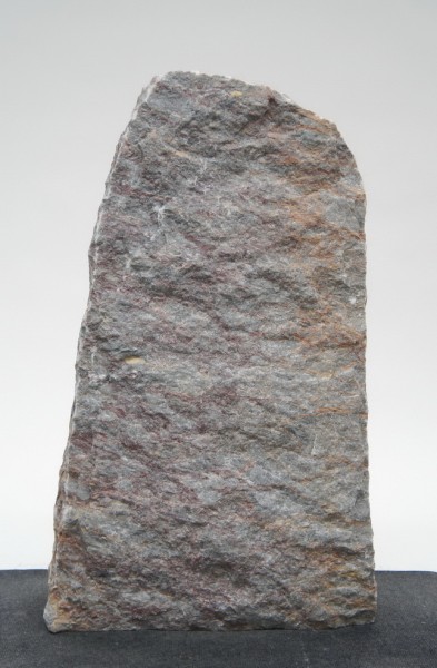 Salome SA22901