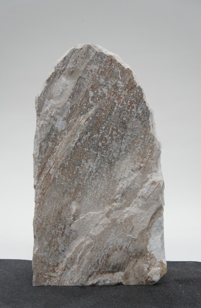 Palisander PA23325