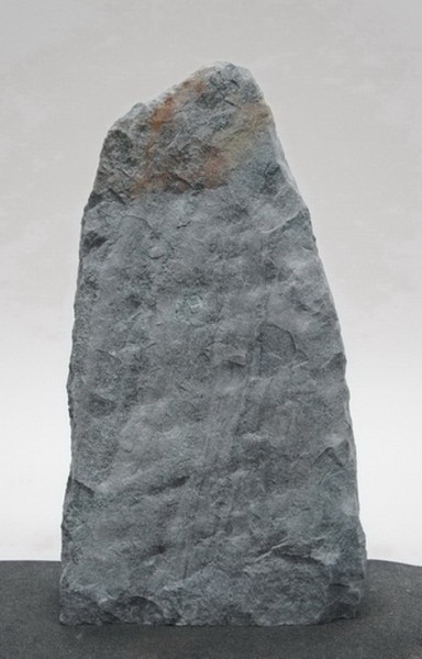 Borealis Light BLI23548