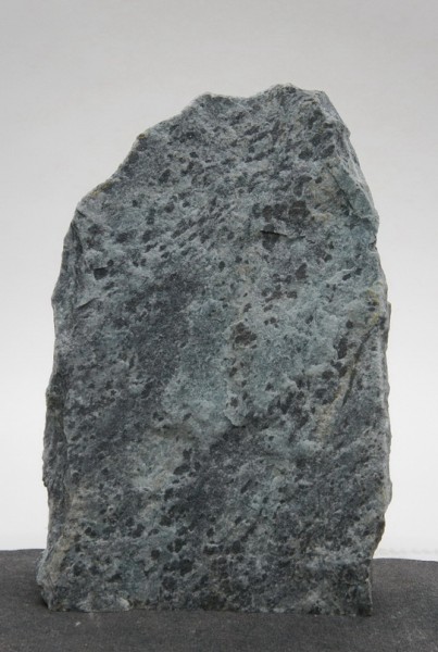 Borealis Light BLI22426