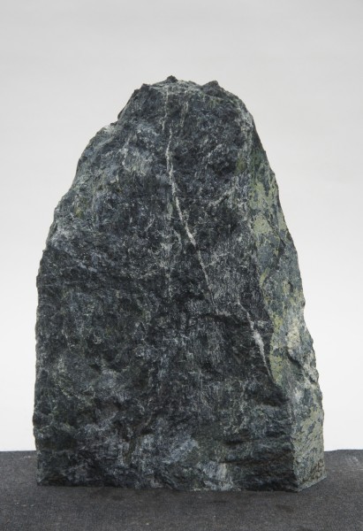 Tauerngrün TG23309