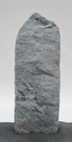 Borealis Light BLI23997