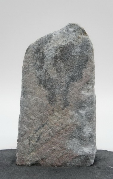 Borealis Light BLI23965