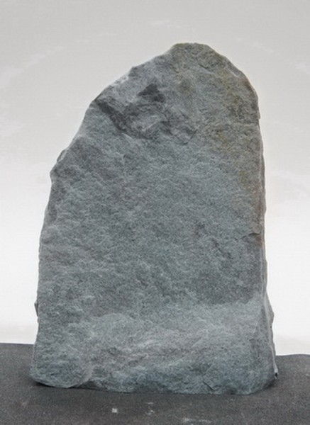 Borealis Light BLI23545