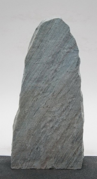 Borealis Light BLI23539