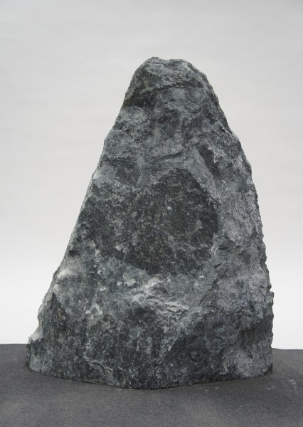 Tauerngrün TG23313