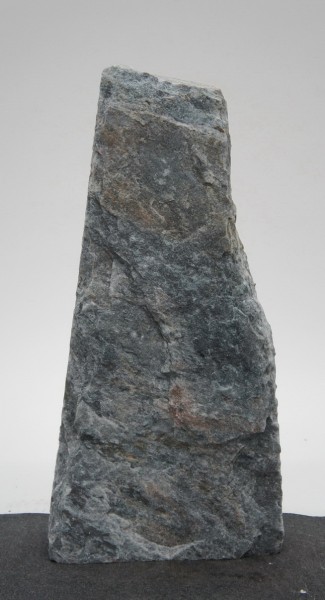 Borealis Light BLI22204