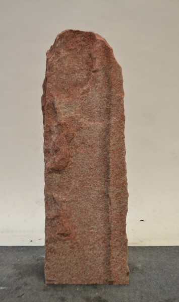 Wasa WA21322